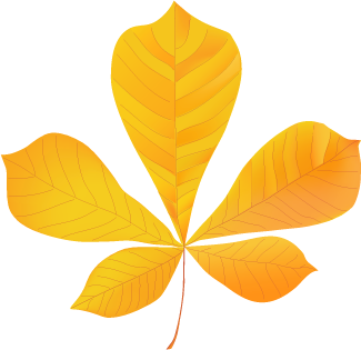 полиграфия: векторные рисунки