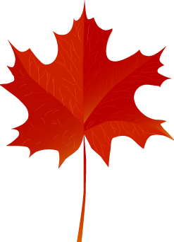 полиграфия: векторные рисунки